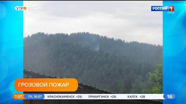 Последствие удара молнии в дерево ликвидировали инспекторы нацпарка "Чикой" смотреть онлайн