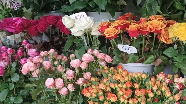 ЛАЗАРЕВСКОЕ. Улица Калараш-по просьбе Александра! Что там есть-ПРОГУЛЯЕМСЯ? смотреть онлайн