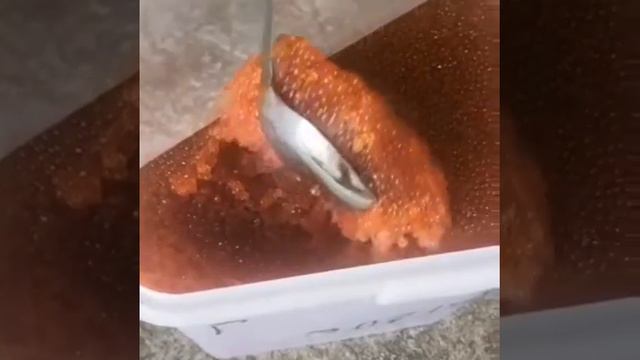 Икра Красная в Томске!Северске! ИКРА🔥ГОРБУШИ🔥! КАМЧАТКА👌!НЕРКА, КИЖУЧ, КЕТА,🐟 СЕМГА! ikra70.ru смотреть онлайн