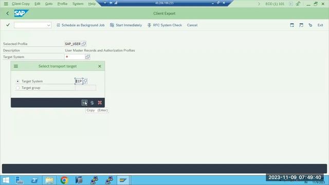 SAP CLIENT EXPORT & IMPORT смотреть онлайн