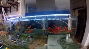 Путешествие в Китай. Лучшие пляжи Шеньчженя. Пляж Розы в Шэньчжэне. Rose Coast beach Shenzhen.