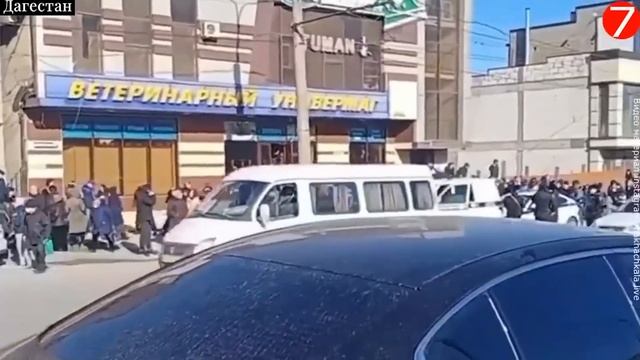 БИТВЫ из-за ХАЛЯВЫ... [ ЧЕЛОВЕЧЕСКОЕ ЛИЦО и ДОСТОИНСТВО в обмен НА ХАЛЯВУ ] смотреть онлайн