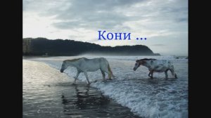 155 Karelia Disco Band - My Love Has Gone Away