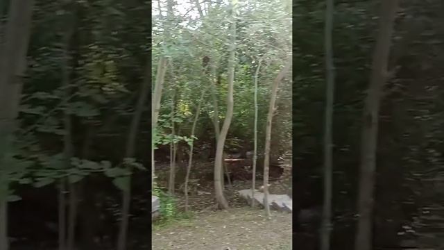 nurota tumani katta ej qishlog‘i смотреть онлайн