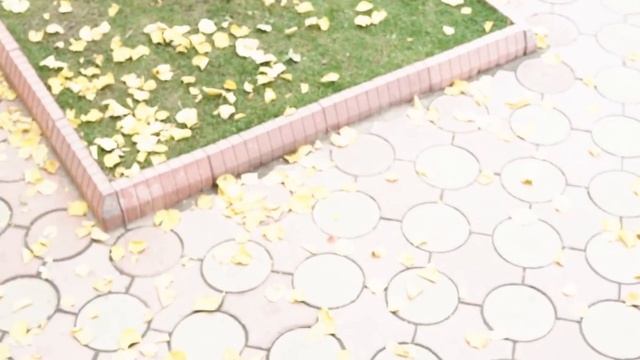 Неделя русского языка и литературы 2018г.