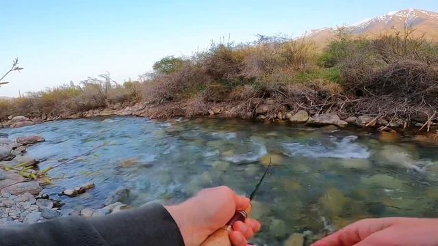 Бешеный клев форели. Рыбалка с gofishing. Trout time. смотреть онлайн