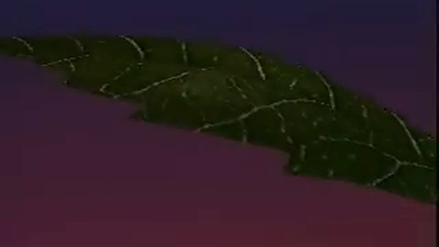 Transpiration смотреть онлайн