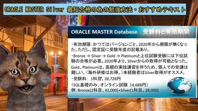 【2020年版】ORACLE MASTER Silver 最短合格の為の勉強方法・おすすめテキストORACLE MASTER Database 【未経験者にオススメのITベンダー資格 Part.4】 смотреть онлайн