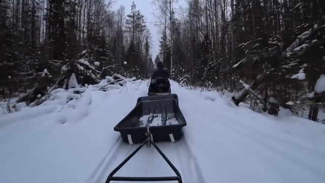 Стройматериалы для таежной избы. Нашли еще одну корчелыгу! Загнал мини трелёвочник в лес. смотреть онлайн