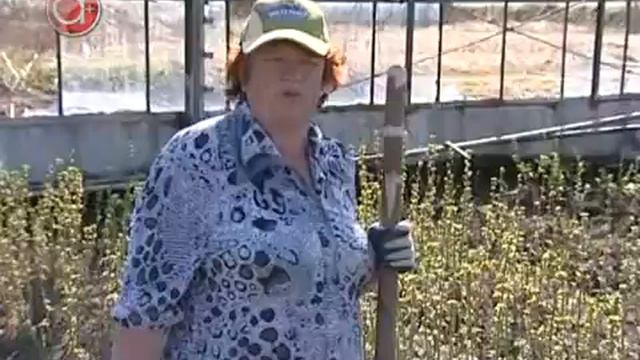 ПОСВИР смотреть онлайн