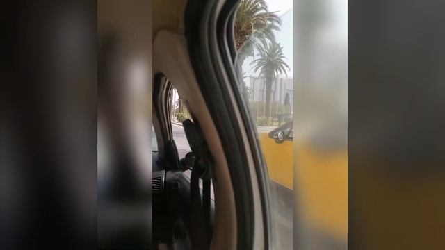 Столица Туниса Тунис