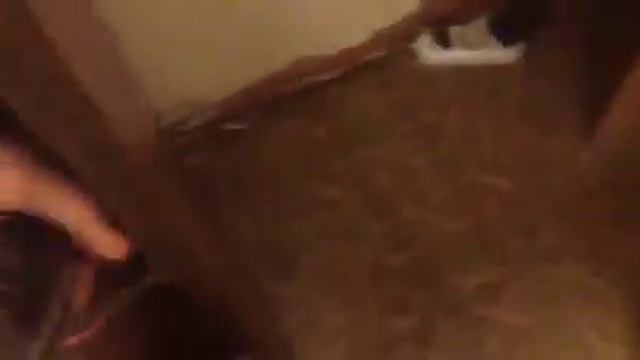 Вредный хомячок Жуня смотреть онлайн