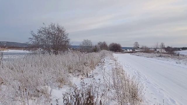Пришла зима , заготавливаю ивовые ветки для корзин. смотреть онлайн