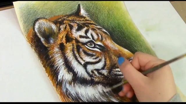 ? Tiger Drawing Time lapse | Speed Drawing | Рисунок Тигра таймлапс ? смотреть онлайн
