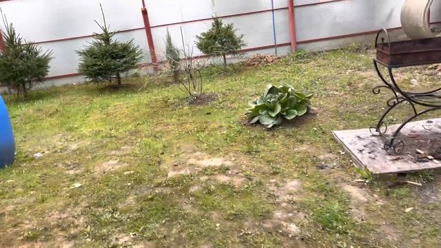 Моя любимая дача 6 мая 2021.❤️Место для нового хвойного уголка. Барбарисовый уголок с фонарями❤️ смотреть онлайн