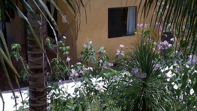 playacar allegro occidental смотреть онлайн