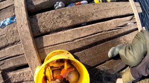 Рыбалка КАСТИНГОВОЙ сетью с моста ВЕСНА 2020...