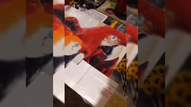 Маленькие истории из инстограма . Процесс алмазной мозаики попугай. смотреть онлайн