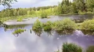 Из цикла Озёра и Реки Подмосковья.😃🤝👍😉
