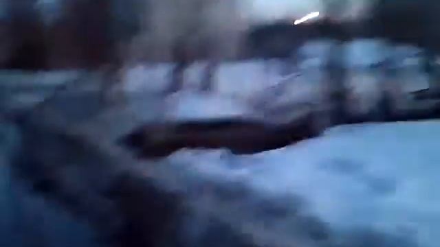 Медведь в Чернушке смотреть онлайн