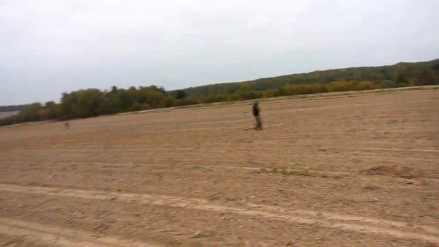 аська рулит. коп по Дмитровскому району смотреть онлайн