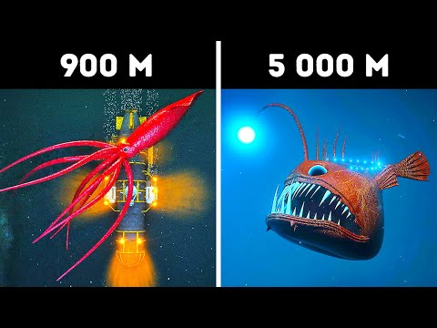 3D-путешествие к неизведанному, что кроется в глубинах океана смотреть онлайн