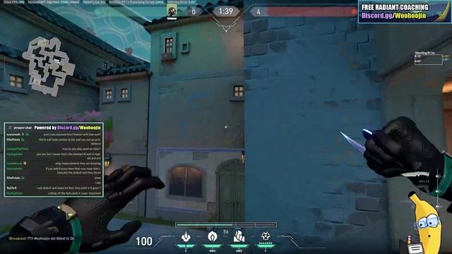 Solo Viper is Broken on Pearl | (Radiant Viper Pearl Guide) смотреть онлайн