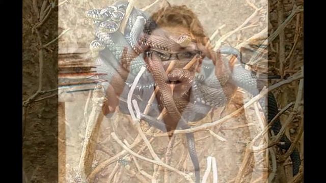 Сотрудник выживает с работы - ВСЕМ СЮДА! смотреть онлайн