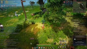 Новые 2 спота с лошадьми в Камасильвии Black Desert