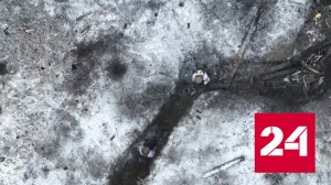 Российские силы уничтожили штурмовой отряд ВСУ на южнодонецком направлении - Россия 24