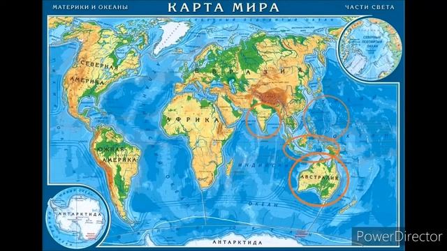Кодиеум (кротон)