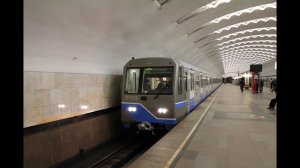 Калининская линия метро в MS 2D