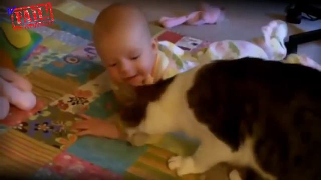 Кошки любят детей  Лучшая подборка 2015