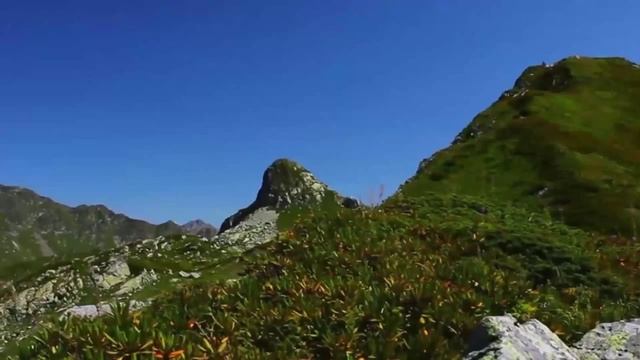 Духовные практики. Преграды на пути. смотреть онлайн