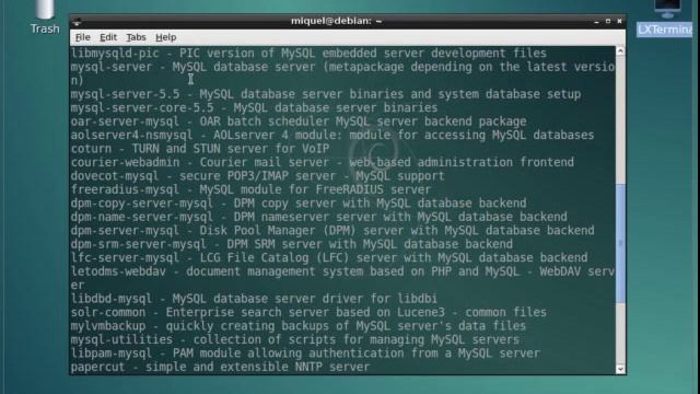 How to install MySQL Server on Debian System смотреть онлайн