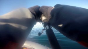 Сахалин. Охота на ТУНЦА!