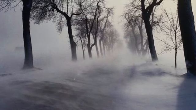 Акация (Шансон) смотреть онлайн