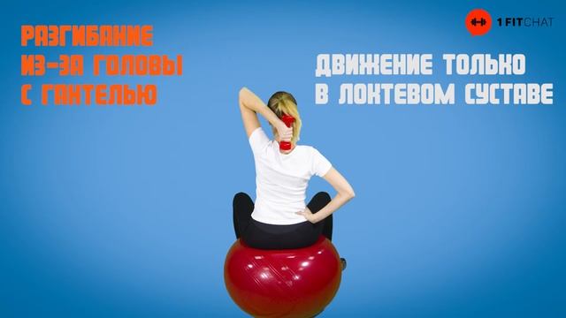 Разгибание из за головы с гантелью смотреть онлайн