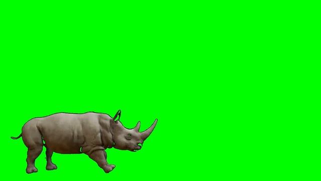 Rhinoceros Green Screen for @animalstampedegreenscreen6522 смотреть онлайн