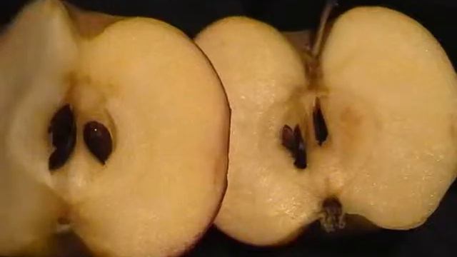 Односем и многосем плоды смотреть онлайн