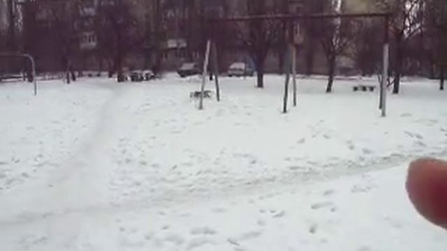 СКАЙ.Метис лайки смотреть онлайн