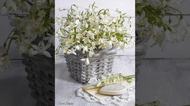 Прекрасные солнечные букеты от фотохудожника Марианны Локшиной смотреть онлайн