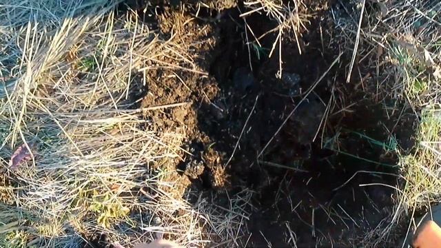 Нашёл старинное зимовье, кладоискателей здесь ещё не было! смотреть онлайн