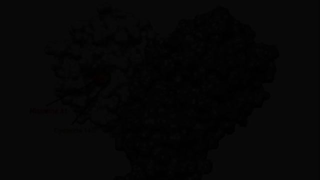 SARS-CoV-2 Main Protease смотреть онлайн