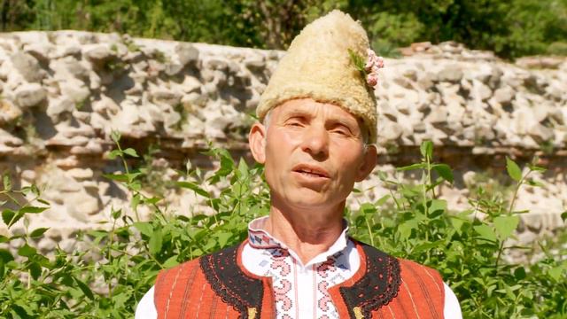 Todor Dobrev priateli - Zasvirili mi sa kavali | Тодор Добрев - Засвирили са ми кавали смотреть онлайн