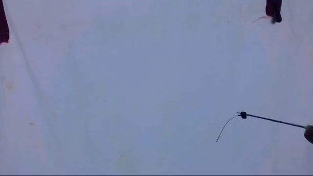 Бешеный клев ельца(ловля живца)/Золотая лунка/Рыбалка на реке Шарык!)) смотреть онлайн