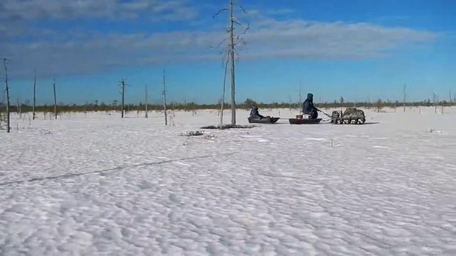 Мотосабака Расамаха ! 2