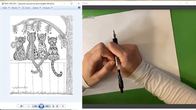 Зентанглы для начинающих. Бесплатный вебинар в комьюнити Blumea. Zentangles