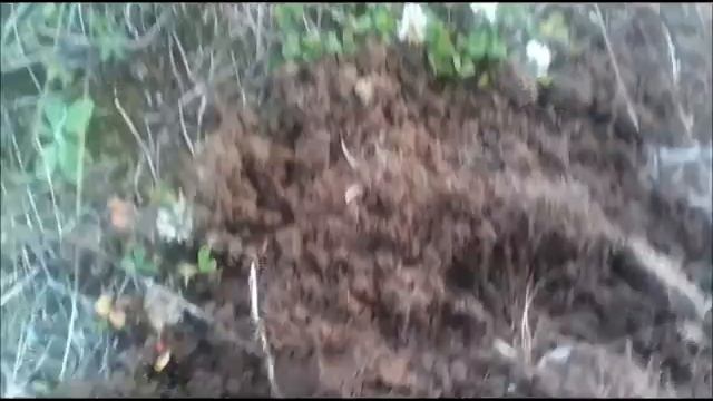 Интересные находки. смотреть онлайн