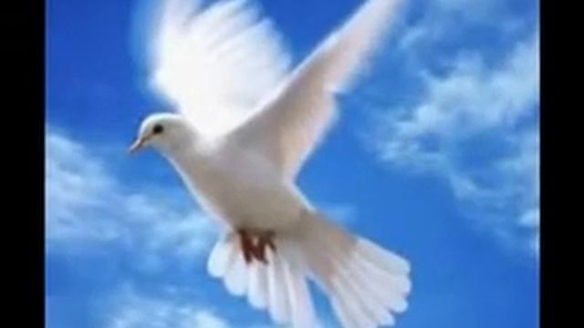 андрей белый смотреть онлайн